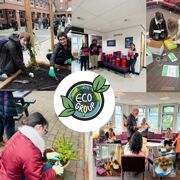 Eco Group